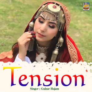 Gulzar Hajam的專輯Tension