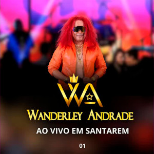 Wanderley Andrade的專輯Ao Vivo em Santarém 01