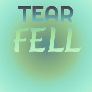 ดาวน์โหลดและฟังเพลง Theme From Ben Casey พร้อมเนื้อเพลงจาก Valjean Johns