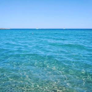 Listen to Underwater song with lyrics from Pro Sounds of Nature