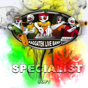 Listen to Specialist (Soft) song with lyrics from Raggatek Live Band