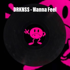 收聽DRKNSS的Wanna Feel歌詞歌曲