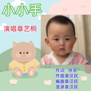 Listen to 小小手 (完整版) song with lyrics from 章汉民