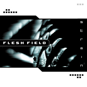 ดาวน์โหลดและฟังเพลง This Broken Dream พร้อมเนื้อเพลงจาก Flesh Field