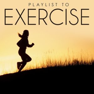 Various Artists的專輯Playlist to Exercise