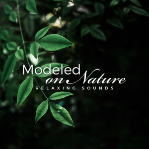 收听Soothing Music Academy的Detox Your Body歌词歌曲