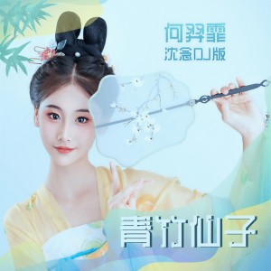 Album 青竹仙子(DJ沈念版) from 何羿霏