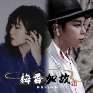 Album 如懿传·梅香如故 from 杨淼