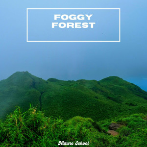 Nature Sound Collection的專輯Foggy Forest