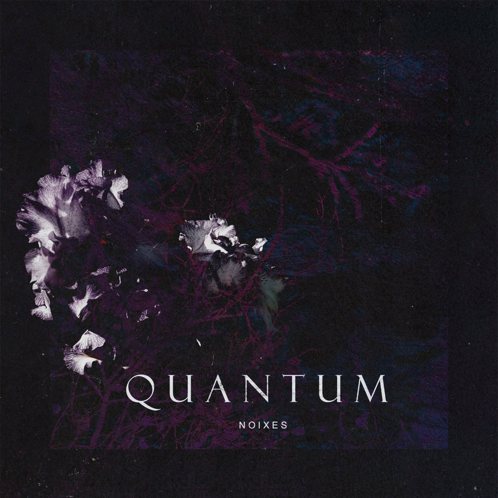 Quantum