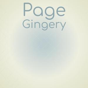 อัลบัม Page Gingery ศิลปิน Various