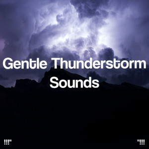 Album !!!" Gentle Thunderstorm Sounds "!!! from Sounds Of Nature : Thunderstorm, Rain