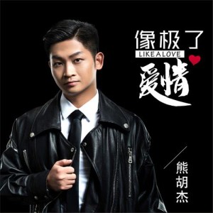 Listen to 像極了愛情 (伴奏) song with lyrics from 熊胡杰
