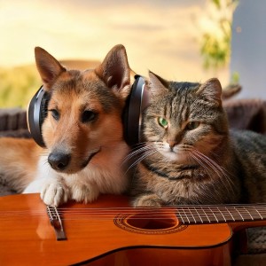 อัลบัม Companions' Harmony: Guitar Music for Pets ศิลปิน Charming Music for Pets