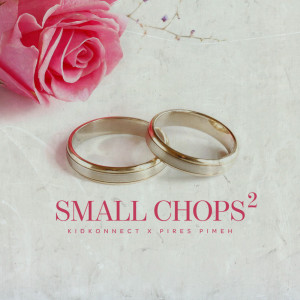 Album Small Chops 2 from Kid Konnect