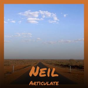 Various Artists的專輯Neil Articulate