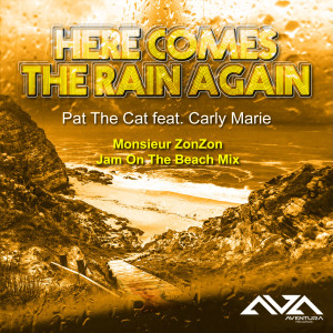 Listen to Here Comes The Rain Again (Monsieur ZonZon Jam on the Beach Radio Edit) song with lyrics from Pat The Cat