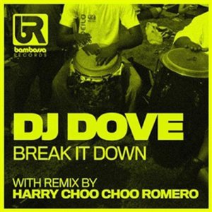 Listen to Break It Down (Original Mix) song with lyrics from DJ Dove