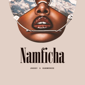 Harmonize的专辑Namficha