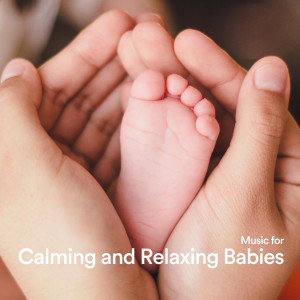 อัลบัม Music for Calming and Relaxing Babies ศิลปิน White Noise Baby Sleep