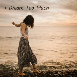 收聽Jeff Heiniger的I Dream Too Much (Radio Edit)歌詞歌曲