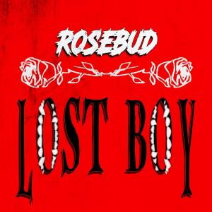 Rosebud的專輯LOST BOY