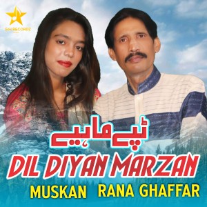 Album Dil Diyan Marzan from 