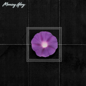 Album Morning Glory (Explicit) oleh Mark Whalen