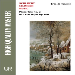 ดาวน์โหลดและฟังเพลง Piano Trio No. 2 in E-Flat Major, Op. 100: I. Allegro พร้อมเนื้อเพลงจาก Dario de Rosa