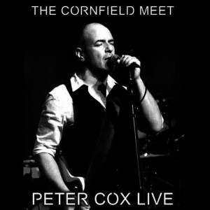 收聽Peter Cox的Who Did You Think I Was?歌詞歌曲