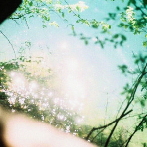 Album love from Emptiness