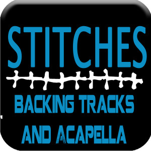 Listen to Stitches (Bass Stem) song with lyrics from Big Wall Productions