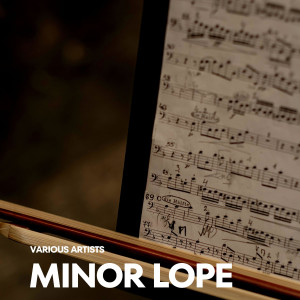 Various Artists的專輯Minor Lope