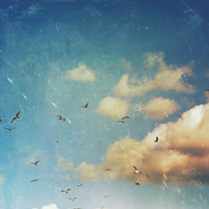 Album Lightness from Sailsetter