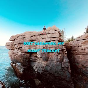 Listen to wet dreaming my night terrors (Explicit) song with lyrics from Lil Tree