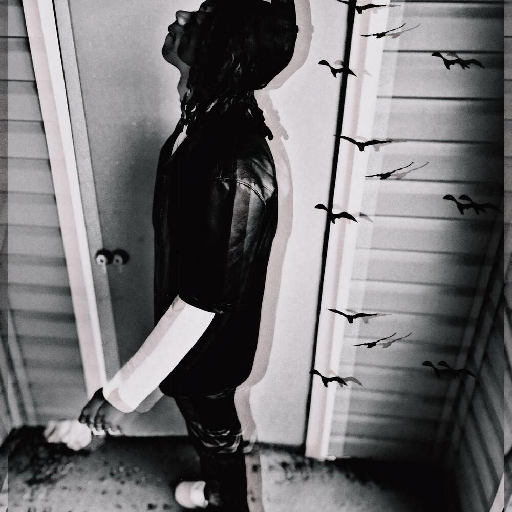 Let It Fly (Explicit)