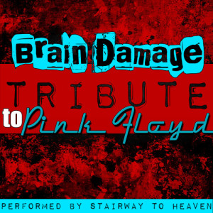 Stairway to Heaven的專輯Brain Damage: Tribute to Pink Floyd