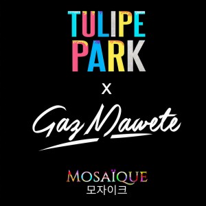 Tulipe Park的专辑Mosaïque