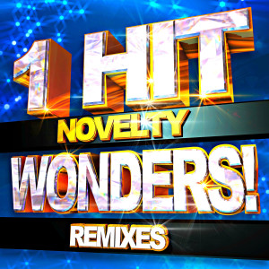 ReMix Kings的专辑Novelty 1 Hit Wonders! Remixes