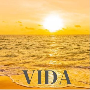 Life的專輯Vida