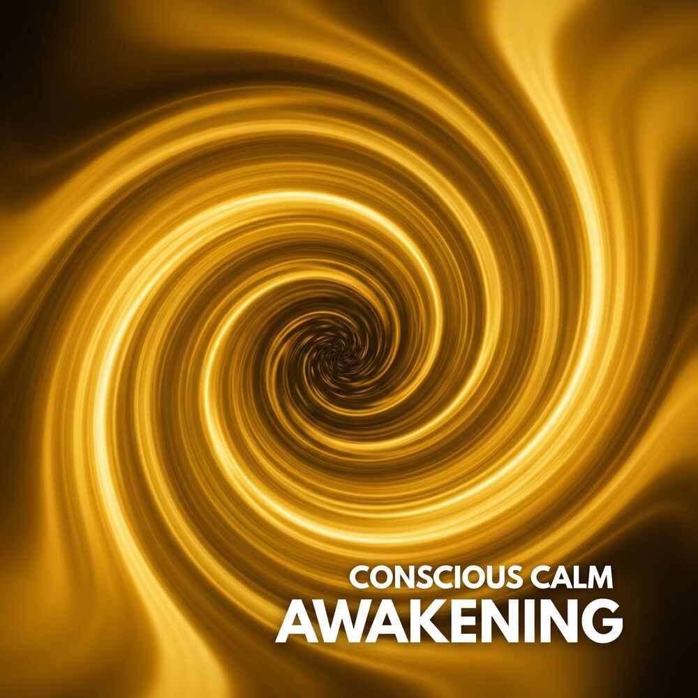 Conscious Calm - The Hz Journey