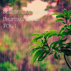 Beautiful Nature Rain Uplifting Sound Vol. 1