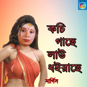 Nargis的专辑Kochi Gache Law Dhoirase