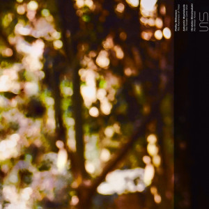 收聽Phillip Wilkerson的The Awareness of Trees歌詞歌曲