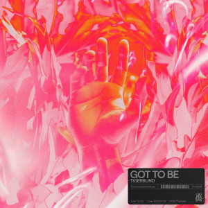收聽Tigerblind的Got To Be歌詞歌曲