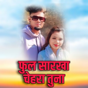 Listen to Phul Sarkha Chehra Tuna song with lyrics from Dipak More
