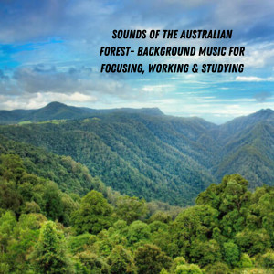 อัลบัม Sounds of the Australian Forest- Background Music for Focusing, Working & Studying ศิลปิน Natural Sounds