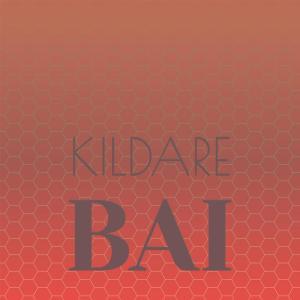 Listen to Bro Commemoration song with lyrics from Shee Dios