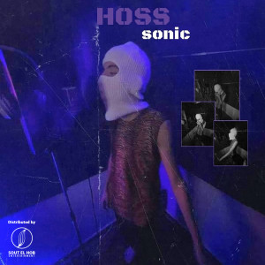 Album Hoss (Explicit) from SoniC