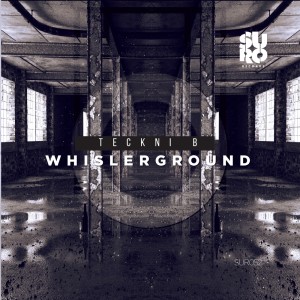 Listen to Whislerground (Original Mix) song with lyrics from Teckni B
